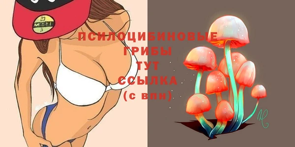 гидропоника Белоозёрский