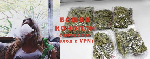ГАЛЛЮЦИНОГЕННЫЕ ГРИБЫ Белокуриха