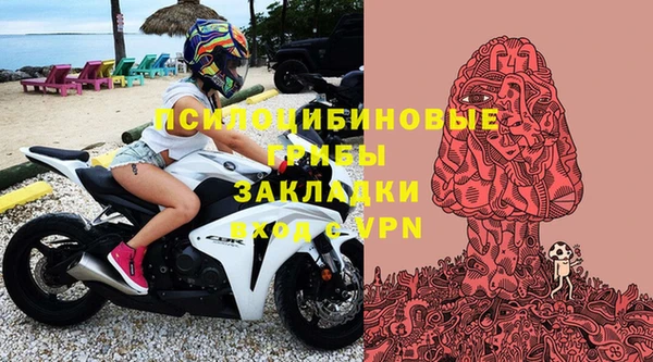 спиды Покровск