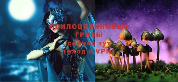 стафф Покачи